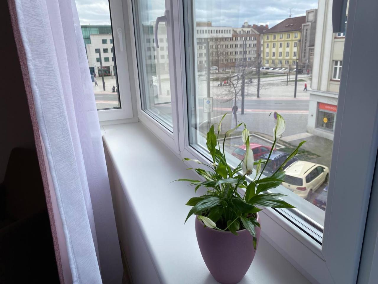Perla Hradce 202 Apartment Hradec Kralove Exterior photo